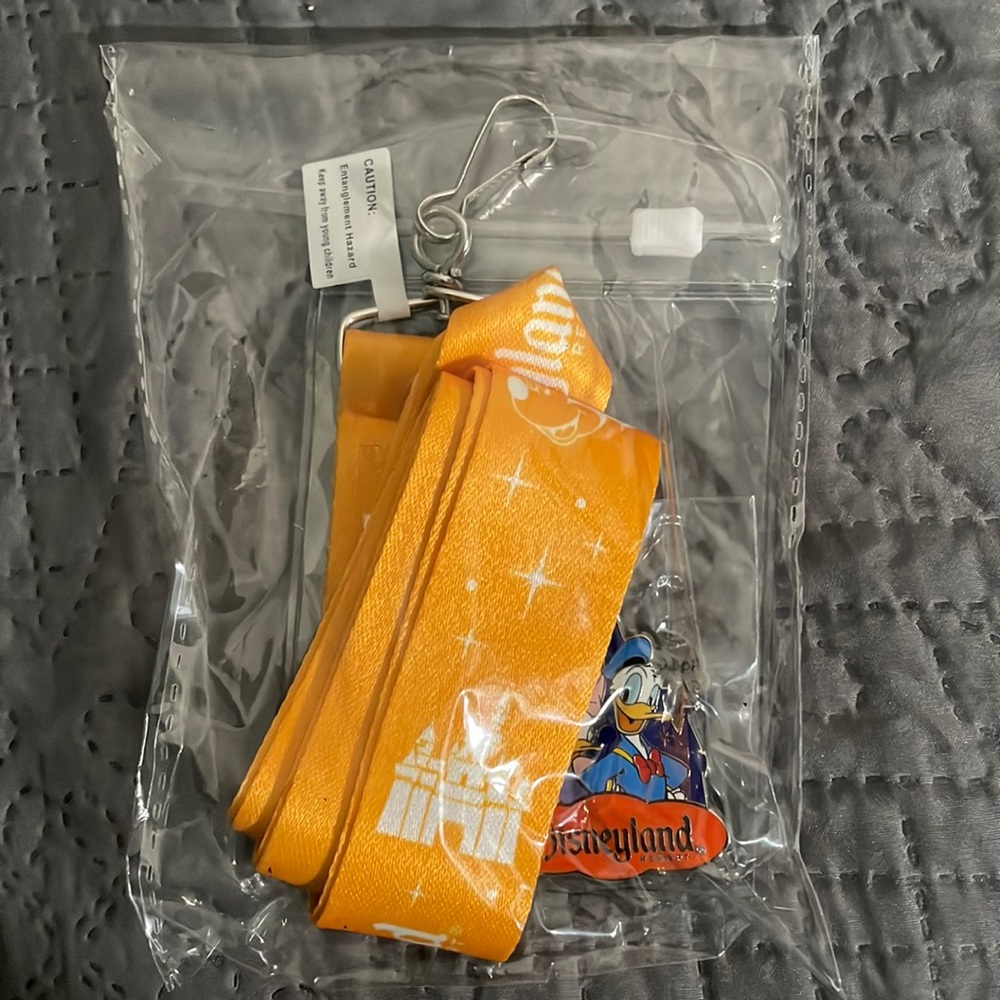 Disneyland Lanyard, pass holder and pin